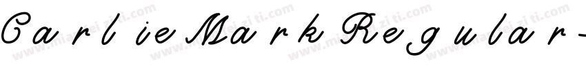 Carlie Mark Regular字体转换